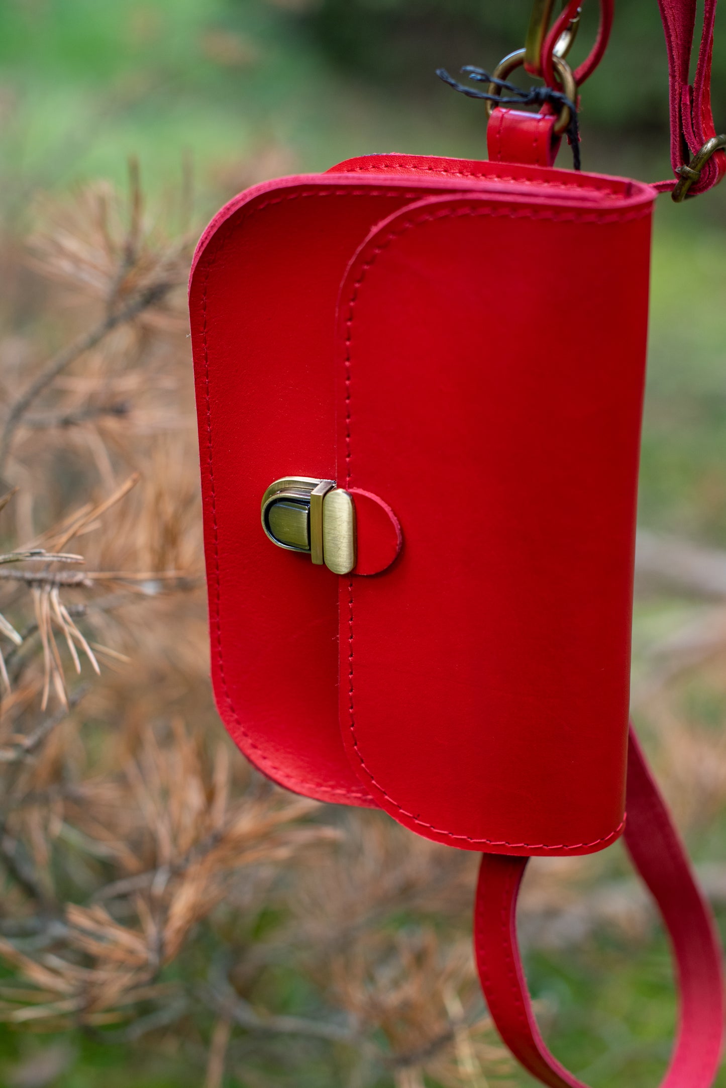 Zābaki Sarkani pusspīdīgi