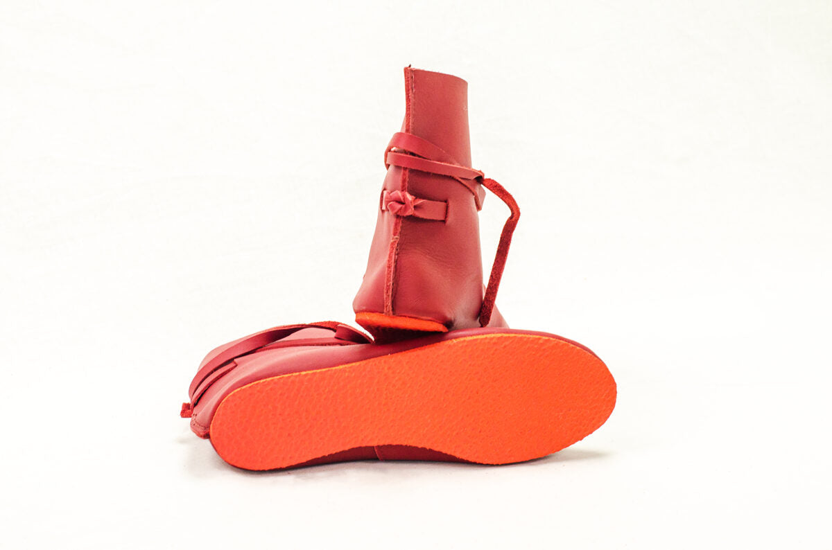 Zābaki Sarkani pusspīdīgi