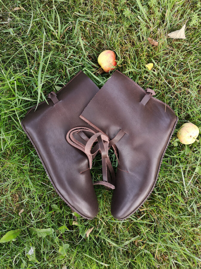 Сапоги Темно-коричневые