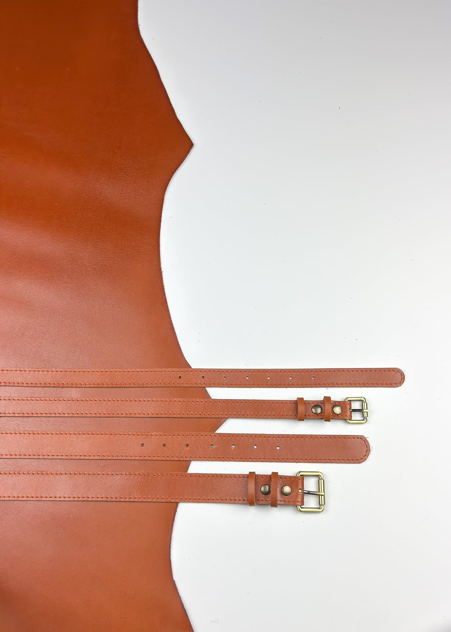 Seddle josta Gaiši brūna